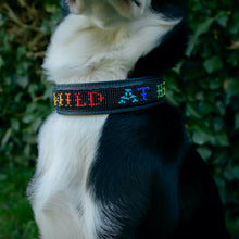 Load image into Gallery viewer, Wild at Heart Foundation Beaded Collar: Black &amp; Rainbow